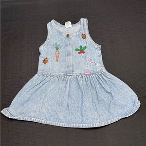 OshKosh B'gosh Light Blue Denim Dress with Garden Embroidered Motifs
